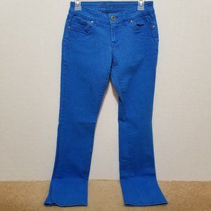 Delia's jeans 5/6R Morgan blue colored denim skinny straight stretch low rise